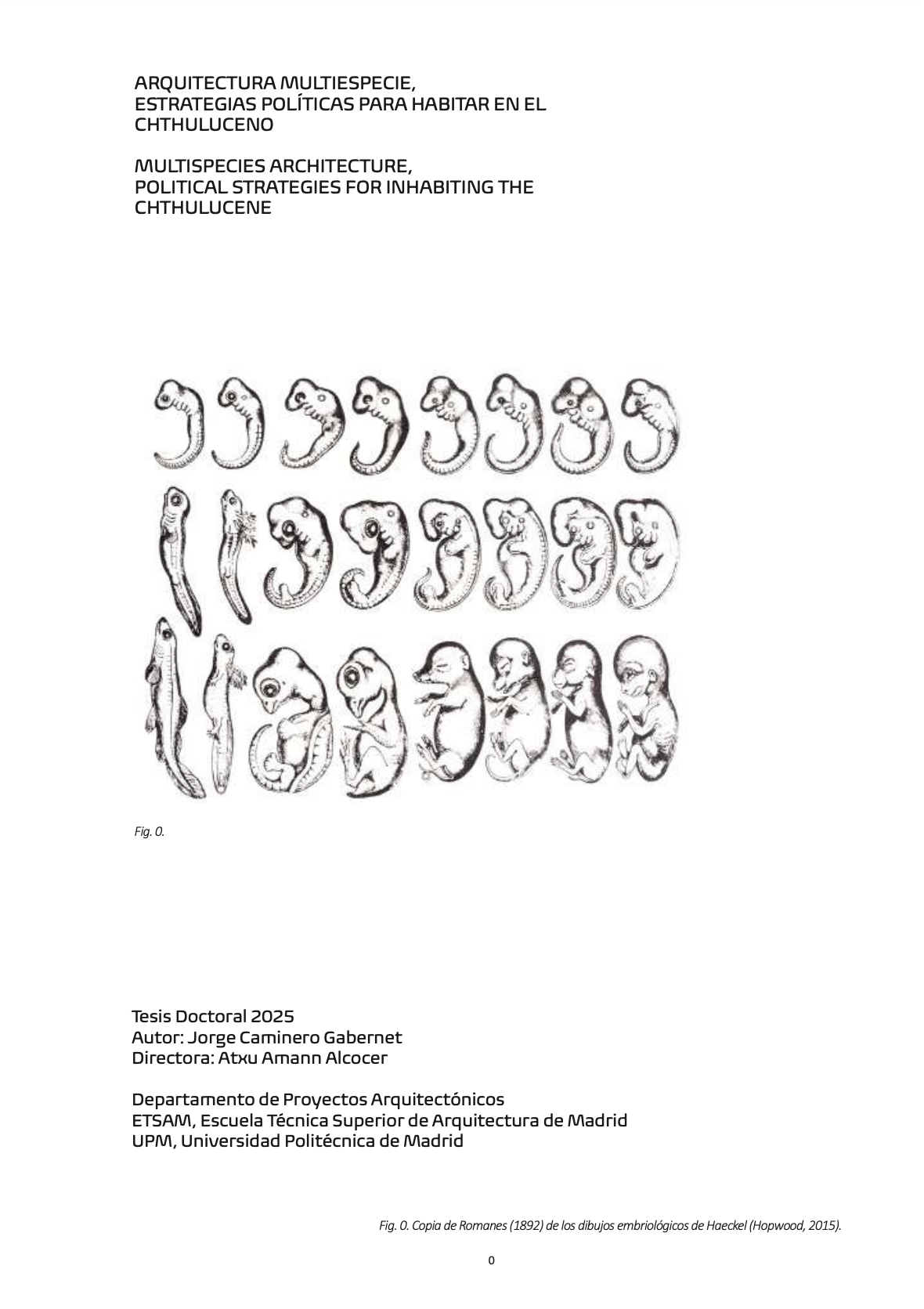 Ph.D. Thesis